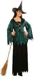 Adult Womens Halloween Gothic Witch Fancy Dress Costume