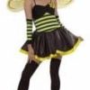 Bumble Bee Fancy Dress Costume Adult Size 8-10