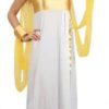 Adult Womens Ancient Times Goddess Athena Fancy Dress Costume