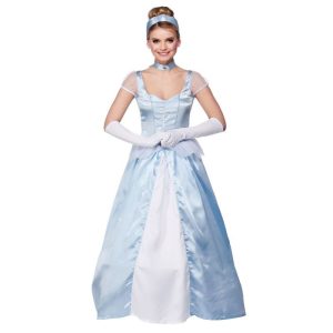 Womens Cinderella Style Costume